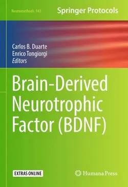 کتاب پزشکی برین درایود نوروتروفیک فاکتور Brain-Derived Neurotrophic Factor (BDNF)