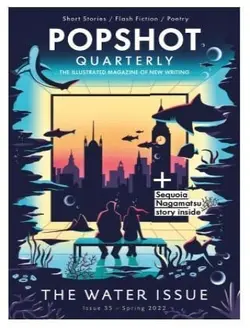 کتاب مجله انگلیسی پاپ شات مگزین Popshot Magazine - Issue 35, Spring 2022