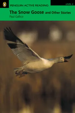 کتاب داستان زبان انگلیسی غاز سفید و دیگر داستان ها Penguin Active Reading Level 3:The Snow Goose and Other Stories