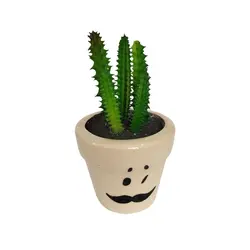 مشخصات، قیمت و خرید گلدان به همراه کاکتوس مصنوعی مدل استیکری کد 20653 | دارلین