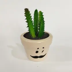 مشخصات، قیمت و خرید گلدان به همراه کاکتوس مصنوعی مدل استیکری کد 20653 | دارلین