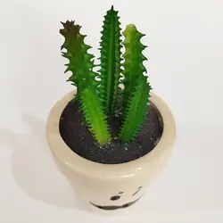 مشخصات، قیمت و خرید گلدان به همراه کاکتوس مصنوعی مدل استیکری کد 20653 | دارلین