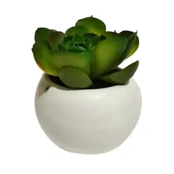 مشخصات، قیمت و خرید گلدان به همراه کاکتوس مصنوعی مدل توپی کد 206611 | دارلین