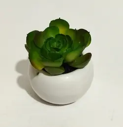 مشخصات، قیمت و خرید گلدان به همراه کاکتوس مصنوعی مدل توپی کد 206611 | دارلین