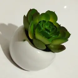 مشخصات، قیمت و خرید گلدان به همراه کاکتوس مصنوعی مدل توپی کد 206611 | دارلین