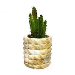 مشخصات، قیمت و خرید گلدان به همراه کاکتوس مصنوعی مدل بتنی کد 13104 | دارلین