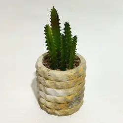 مشخصات، قیمت و خرید گلدان به همراه کاکتوس مصنوعی مدل بتنی کد 13104 | دارلین