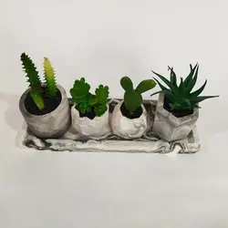 مشخصات، قیمت و خرید گلدان به همراه کاکتوس مصنوعی کد 21165 مجموعه 4 عددی به همراه استند | دارلین