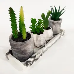مشخصات، قیمت و خرید گلدان به همراه کاکتوس مصنوعی کد 21165 مجموعه 4 عددی به همراه استند | دارلین