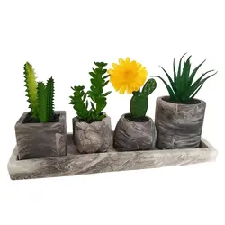 مشخصات، قیمت و خرید گلدان به همراه کاکتوس مصنوعی کد 21161 مجموعه 4 عددی به همراه استند | دارلین