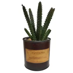 مشخصات، قیمت و خرید گلدان به همراه کاکتوس مصنوعی مدل فلزی کد 45204 | دارلین