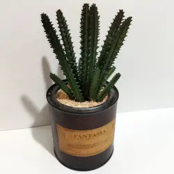 مشخصات، قیمت و خرید گلدان به همراه کاکتوس مصنوعی مدل فلزی کد 45204 | دارلین