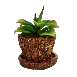 مشخصات، قیمت و خرید گلدان به همراه کاکتوس مصنوعی مدل تنه درختی کد 21742 | دارلین