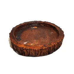 مشخصات، قیمت و خرید گلدان به همراه کاکتوس مصنوعی مدل تنه درختی کد 21742 | دارلین