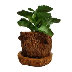 مشخصات، قیمت و خرید گلدان به همراه کاکتوس مصنوعی مدل تنه درختی کد 21741 | دارلین