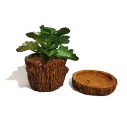 مشخصات، قیمت و خرید گلدان به همراه کاکتوس مصنوعی مدل تنه درختی کد 21741 | دارلین