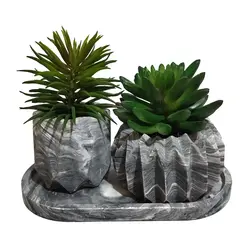 مشخصات، قیمت و خرید گلدان به همراه کاکتوس مصنوعی کد 21405 مجموعه 2 عددی بتنی | دارلین