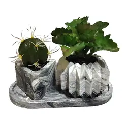 مشخصات، قیمت و خرید گلدان به همراه کاکتوس مصنوعی کد 21404 مجموعه 2 عددی بتنی | دارلین