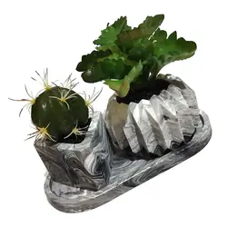 مشخصات، قیمت و خرید گلدان به همراه کاکتوس مصنوعی کد 21404 مجموعه 2 عددی بتنی | دارلین