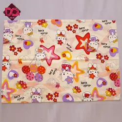 روبالشی بچگانه دارلین کد 318 بسته 1 عددی