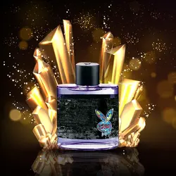 اسانس عطر پلی بوی نیویورک مردانه Playboy - Playboy New York