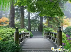 پوستر دیواری پل چوبی کد NT-227 - رونیا