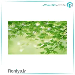 پوستر دیواری برگ صنوبرCode-LS-125 - رونیا