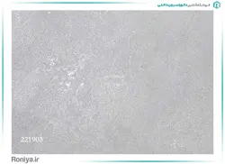 کاغذ دیواری ساده بافت دار کد 221901 - رونیا