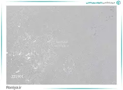 کاغذ دیواری ساده بافت دار کد 221901 - رونیا