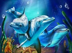 پوستر دیواری آکواریوم و دلفینCode- AN-055 - رونیا