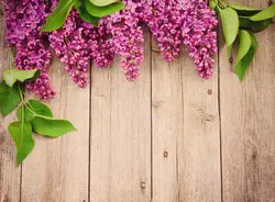 پوستر دیواری سه بعدی سنبل های بنفش کد NT-150 - رونیا