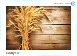 پوستر دیواری طرح چوب و خوشه گندم 3DF-337 - رونیا