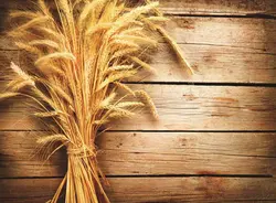 پوستر دیواری طرح چوب و خوشه گندم 3DF-337 - رونیا