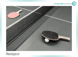 پوستر دیواری ورزشی سه بعدی پینگ پنگ کد SP-010 | رونیا