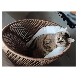 جای خواب آویزی رادیاتور کرم گربه و سگ LUXPERI