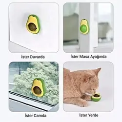 آبنبات دیواری کت نیپ دارگربه