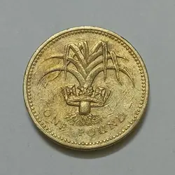 سکه کلکسیونی ۱ پوند یادبودی انگلیس ۱۹۹۰ ملکه الیزابت %