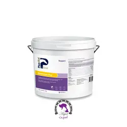 الکترولیت اسب پلاس ویتال | plusvital Electrolyte Plus