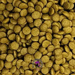 غذای خشک مخصوص بچه گربه فرافود طعم مرغ و برنج