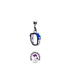 ست قلاده گردنی زنگوله دار + لید شبرنگ طرح ال وی