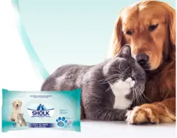 دستمال مرطوب پاک کننده پنجه و بدن  sholk