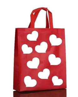 ساک دستی قلب