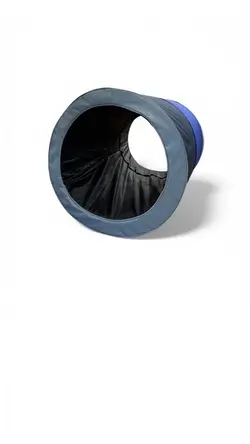 استوانه سنسوری