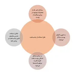 ویال ضدجوش نیاسامید - هدیه بیوتی