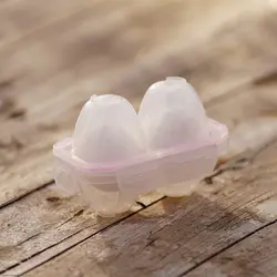 ظرف نگهداری تخم مرغ 2 عددی Black Fire