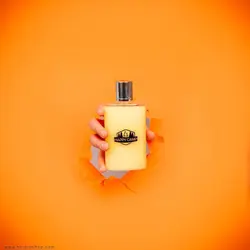 کیف چاشنی آشپزی Happy Camp مدل 46817