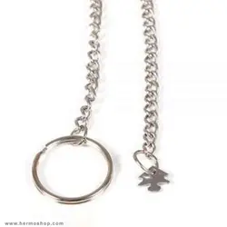 چراغ روشنایی لنترن مدل BL300-F1