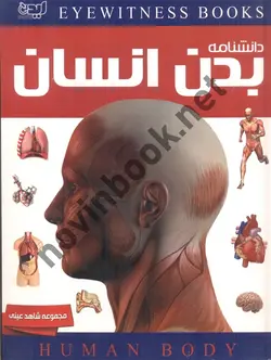 دانشنامه مصور بدن انسان ریچارد واکر با ترجمه ی سمانه آب نیکی انتشارات ایده پردازان