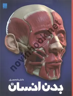 دانشنامه مصور بدن انسان ریچارد واکر ترجمه داریوش دل آرا انتشارات سایان