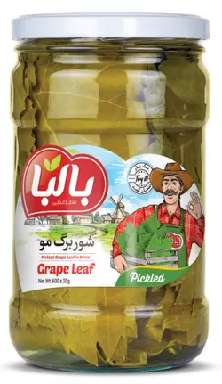 شور برگ مو 600 گرمی